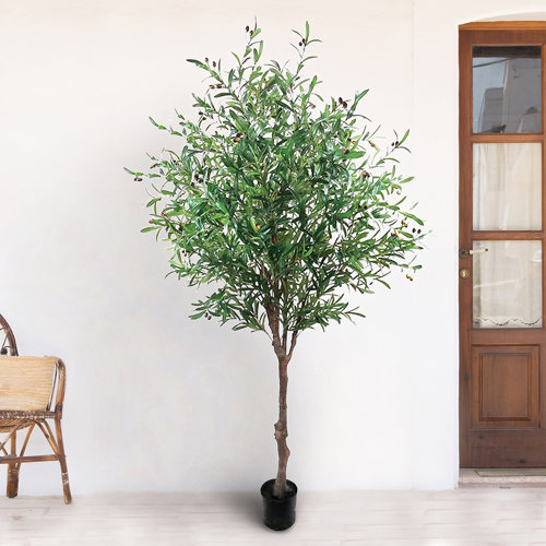 Greyleigh™ 90'' Faux Olive Tree Plant in Pot Wayfair